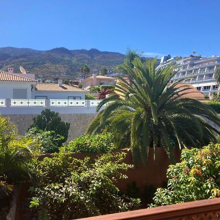 Xanadu Coliving Hotel Santa Úrsula Eksteriør billede
