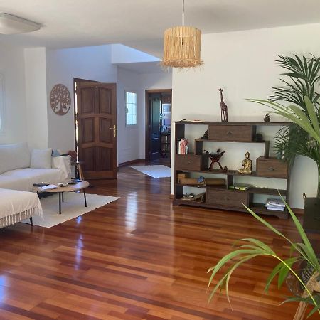 Xanadu Coliving Hotel Santa Úrsula Eksteriør billede