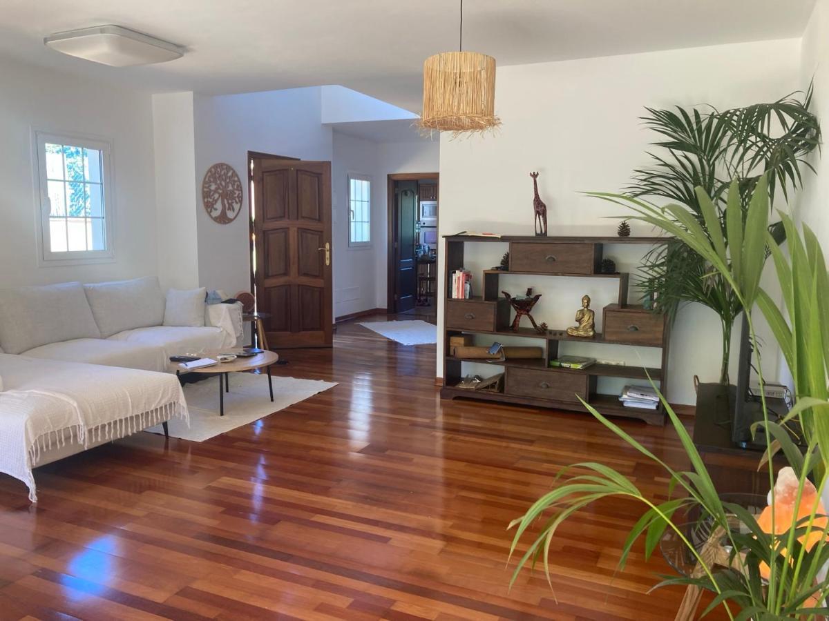 Xanadu Coliving Hotel Santa Úrsula Eksteriør billede