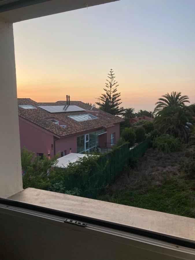 Xanadu Coliving Hotel Santa Úrsula Eksteriør billede